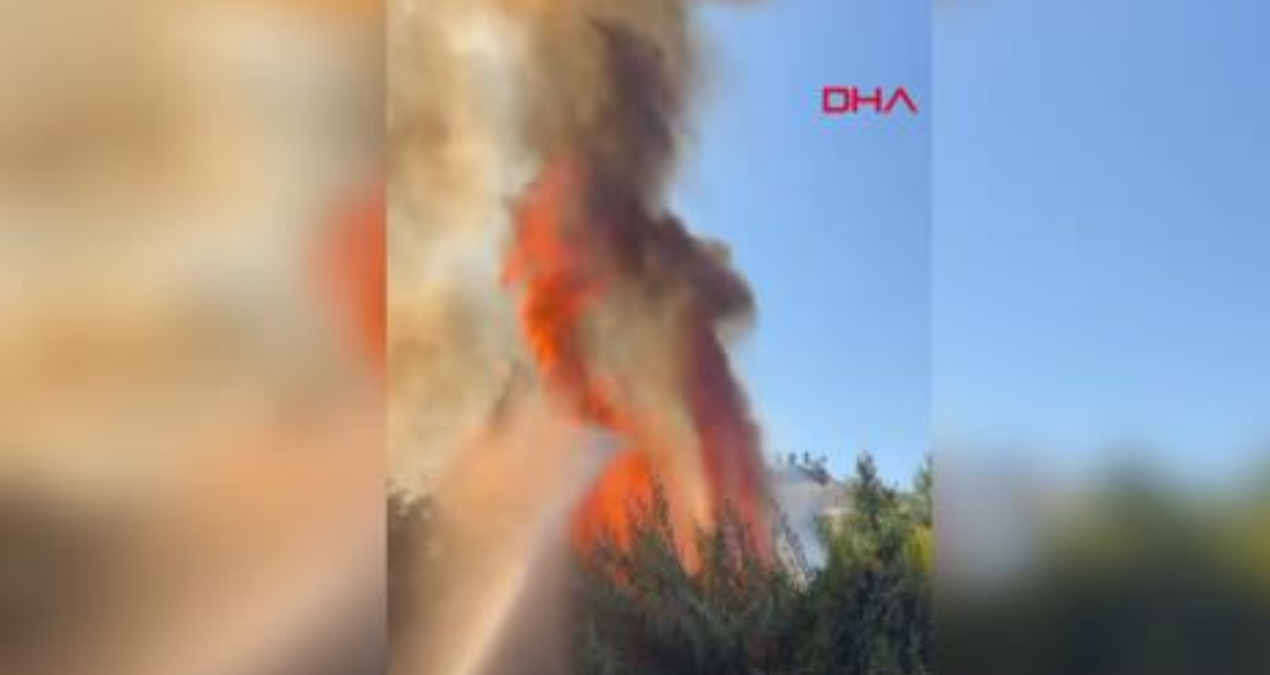 antalyada calilik yangini seralara sicradi RKerO2Qe