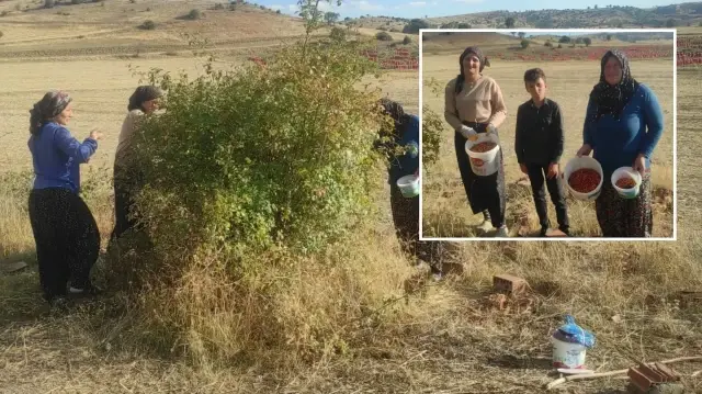 toplamasi zahmetli sifasi saymakla bitmiyor UUOeZT9Q