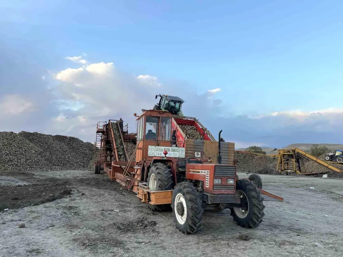 karsta seker pancari hasadi yarisina girisildi uztgDrQR.jpg