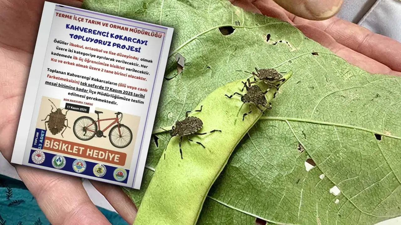 kokarca toplama projesine chpden tepki bilimle mucadele edecegimize cocuklari kullaniyoruz 2aHBYEM5.jpg